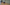 [EN]