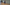 [EN]